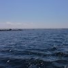 Marsala_2012 (227)